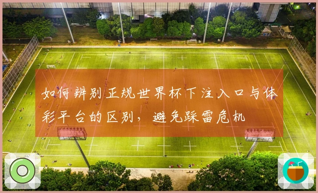 如何辨别正规世界杯下注入口与体彩平台的区别，避免踩雷危机