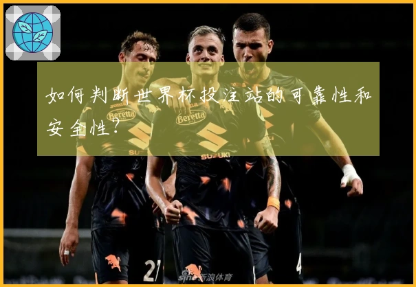 如何判断世界杯投注站的可靠性和安全性？