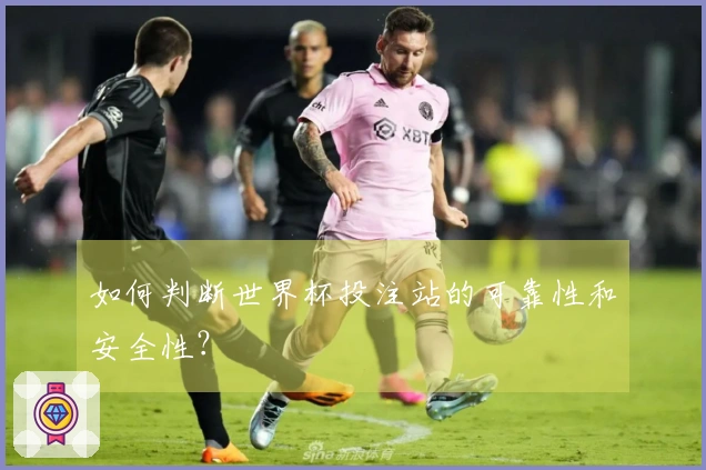 如何判断世界杯投注站的可靠性和安全性？