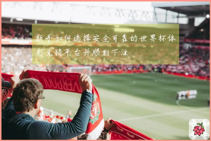 新手如何选择安全可靠的世界杯体彩竞猜平台并顺利下注