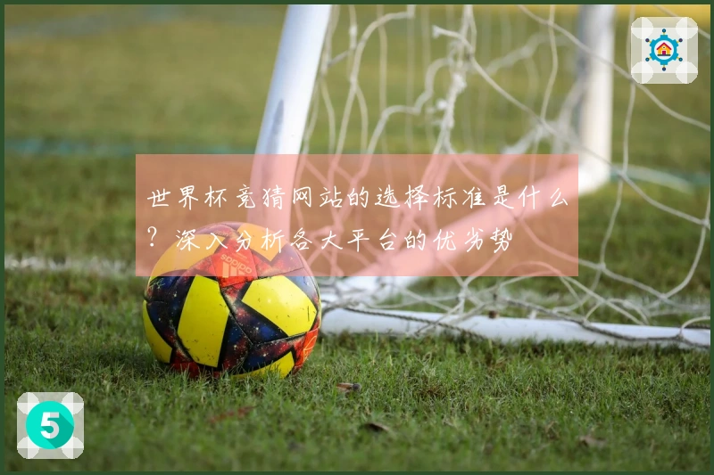 世界杯竞猜网站的选择标准是什么？深入分析各大平台的优劣势