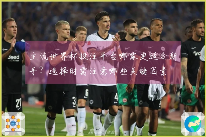 主流世界杯投注平台哪家更适合新手？选择时需注意哪些关键因素